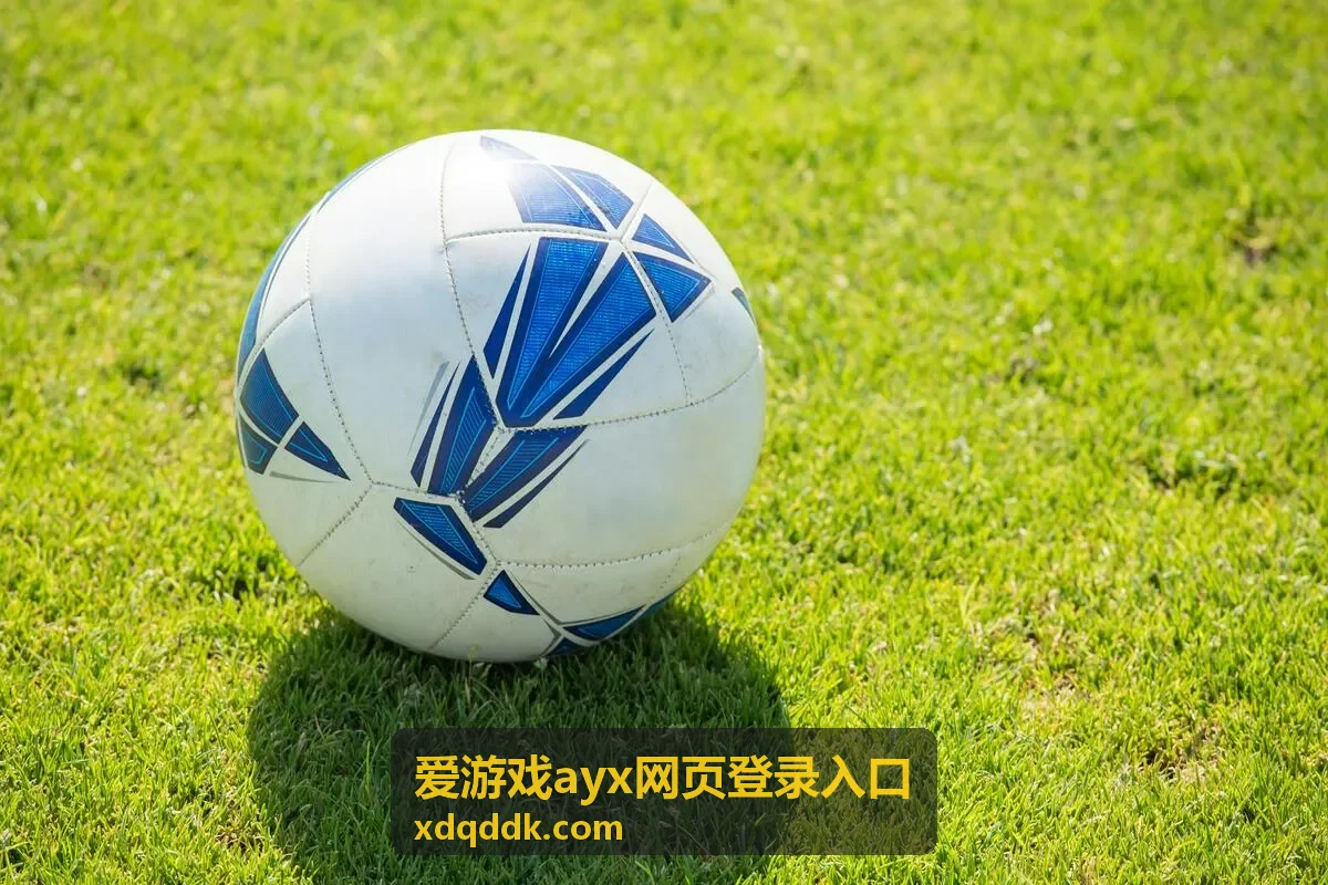 电脑浏览器上的爱游戏ayx网页登录入口页面