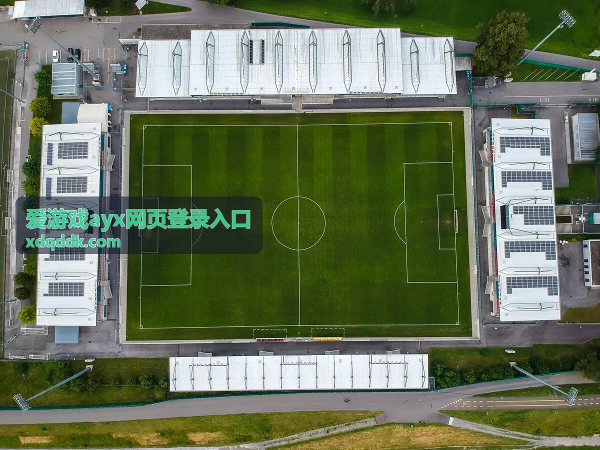 登录遇到问题时的账号排查步骤示意