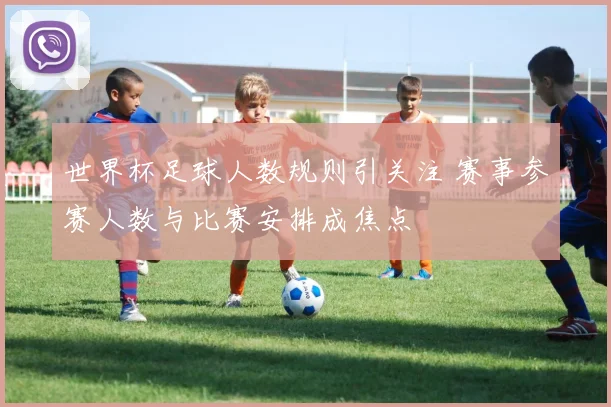 世界杯足球人数规则引关注 赛事参赛人数与比赛安排成焦点