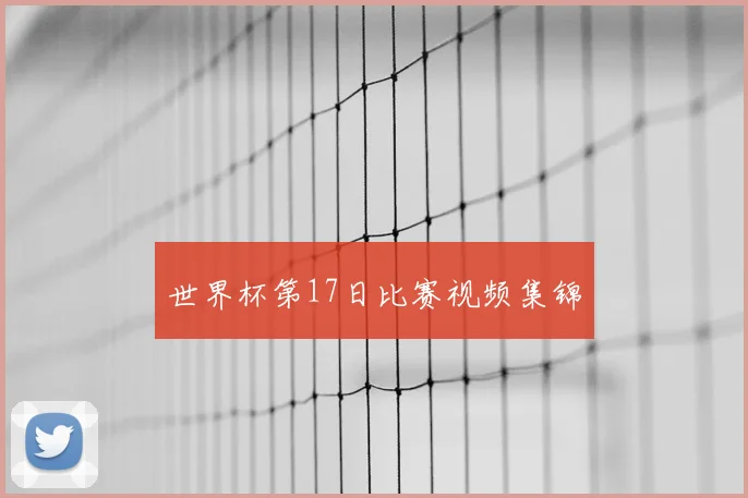 世界杯第17日比赛视频集锦