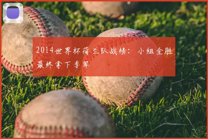2014世界杯荷兰队战绩:小组全胜最终拿下季军