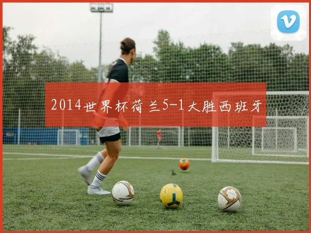 2014世界杯荷兰5-1大胜西班牙