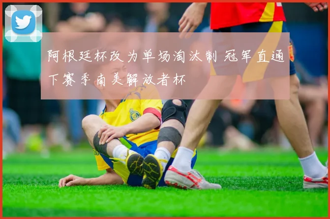 阿根廷杯改为单场淘汰制 冠军直通下赛季南美解放者杯