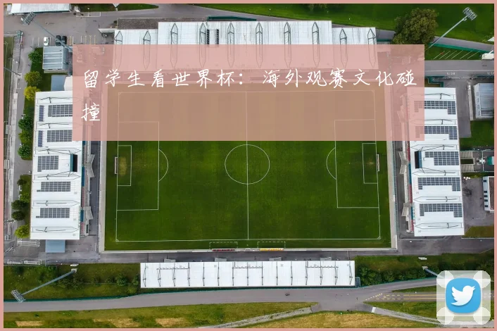 留学生看世界杯：海外观赛文化碰撞