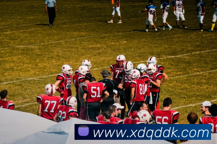 博鱼首页官网发展历程