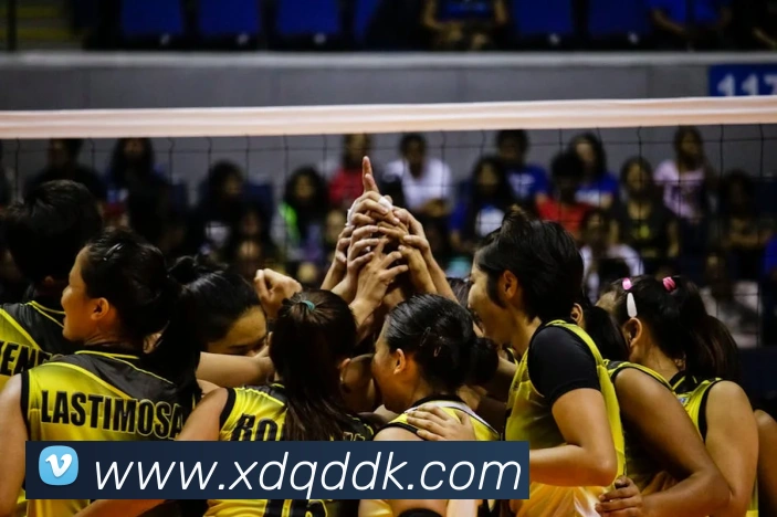 男篮世界杯赛程规则解析 国家队出线形势与淘汰赛关键看点